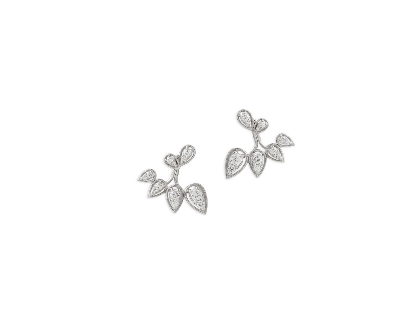 Tear Drops